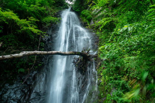 749c5145196ce6e6a951e3e889f51b